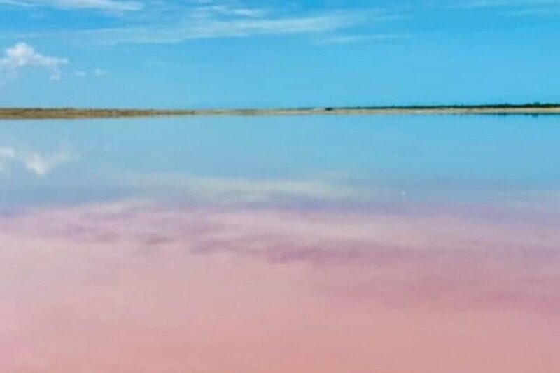 From Merida: Tour to Las Coloradas With Lunch & Boat - Key Points