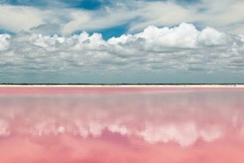 From Merida: Tour to Las Coloradas With Lunch & Boat - Experience Highlights