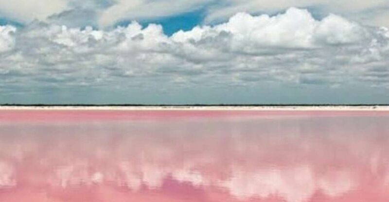 From Merida: Tour to Las Coloradas With Lunch & Boat - Inclusions