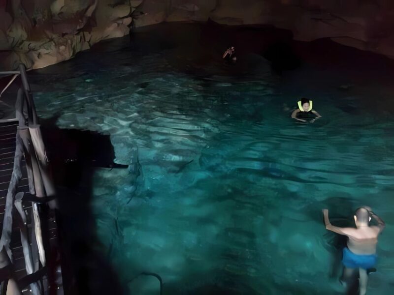 From Mérida: Uxmal + Chocolate Museum + Cenote - Swimming in Crystal-Clear Cenote