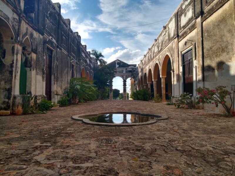 From Merida: Uxmal, Hacienda Yaxcopoil, and Cenote With Lunch - Highlights of the Tour