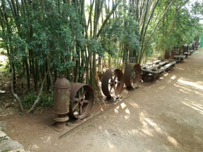 From Merida: Uxmal, Hacienda Yaxcopoil, and Cenote With Lunch - Hacienda Yaxcopoil and Cenote Peba