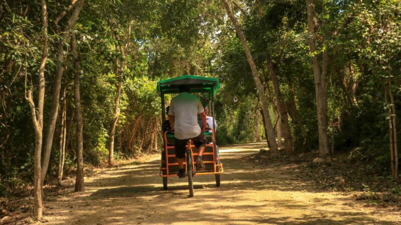 From Merida: Visit to Ek Balam Community & Cenote Tour - Inclusions