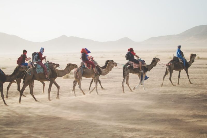 From Merzouga: All Included Overnight in Tent With Sandboard - Accommodation and Amenities