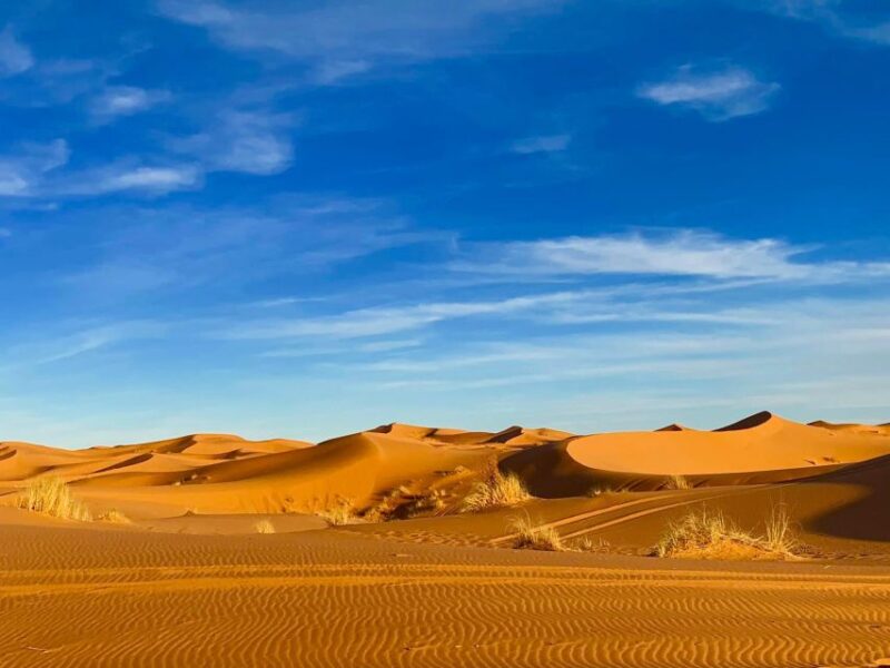 From Merzouga: Overnight Camel Trek Over Erg Chebbi Dunes - Itinerary