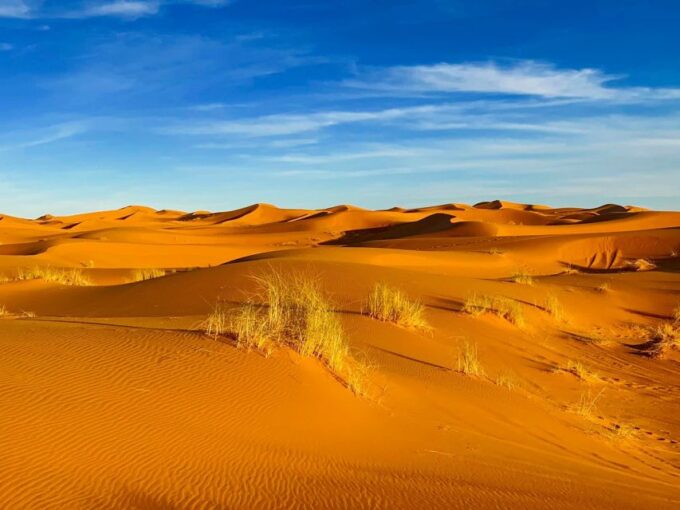 From Merzouga: Overnight Camel Trek Over Erg Chebbi Dunes - Cultural Immersion