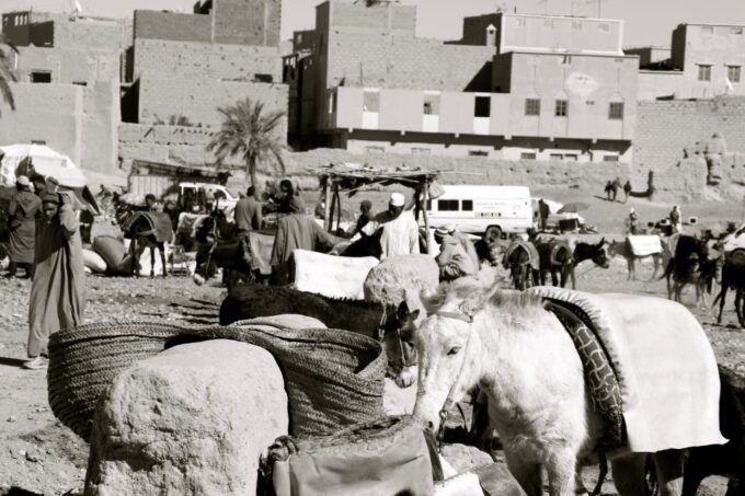 From Merzouga: Private 4x4 Dunes Tour Incl. Lunch - Pickup and Transportation