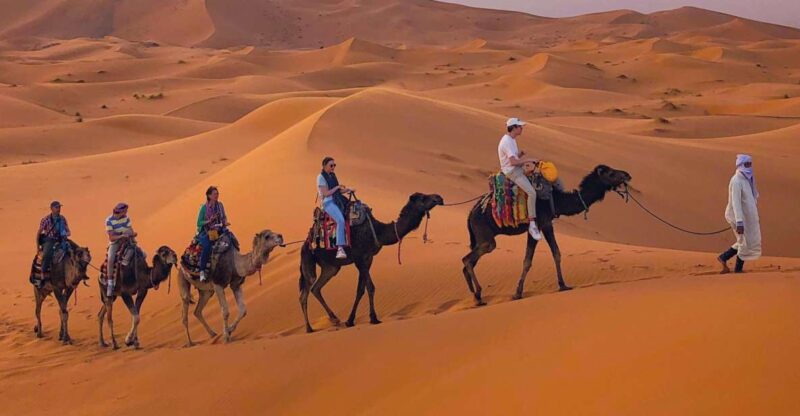 From Merzouga: Sunset Camel Ride & Sandboarding - Booking Information