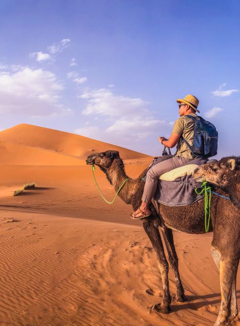 From Merzouga: Sunset Camel Ride & Sandboarding - Experience Highlights