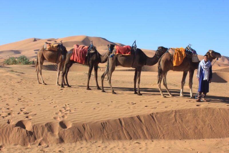 From Merzouga: Sunset Camel Ride & Sandboarding - Included in the Activity