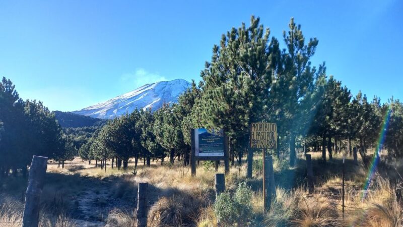 From Mexico City: Guided Volcano Hike | Level 1 - Key Points