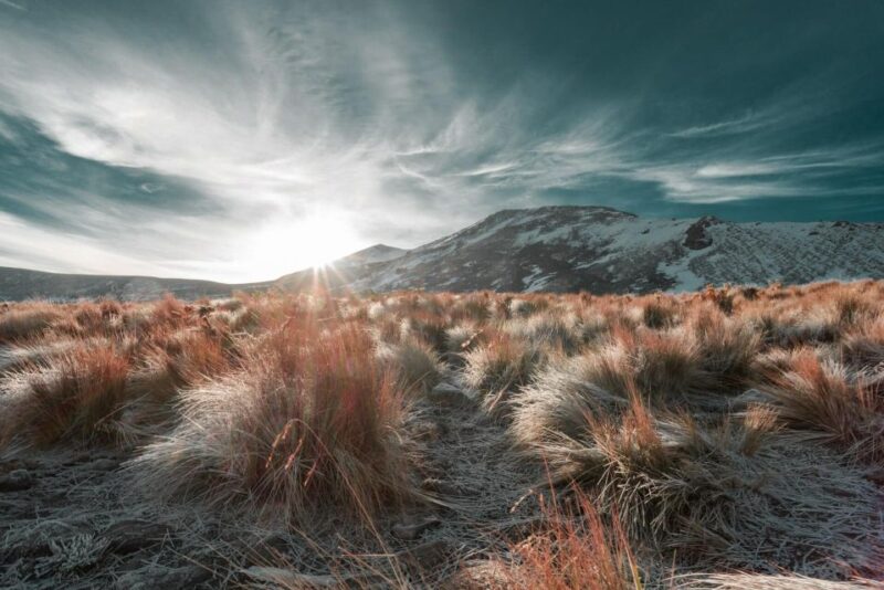 From Mexico City: Private Hiking Tour at Nevado De Toluca - Inclusions and Transportation