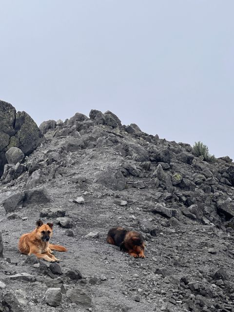From Mexico City: Vulcano Summit 15354 Ft Private Tour - Pickup and Travel