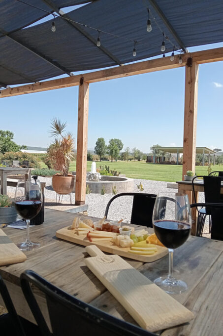 From Mexico City: Wine, Cheese and Art Gastronomic Route Through Queretaro - Cheese Farm and Factory