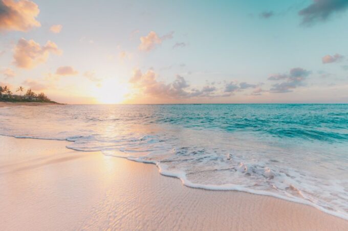 From Miami: Bimini Bahamas Day Trip by Ferry - What to Bring