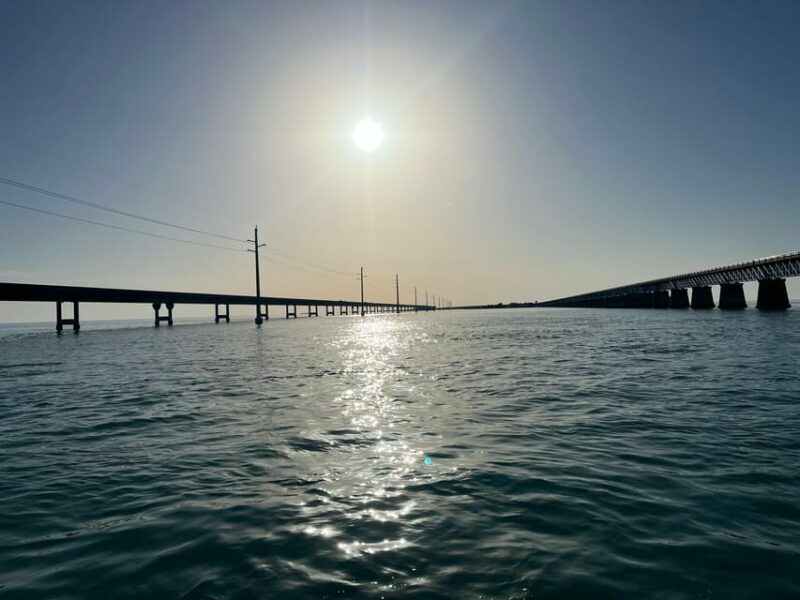 From Miami: Day Trip to Key West with optional Hotel pick up - What Reviewers Say: Real Experiences