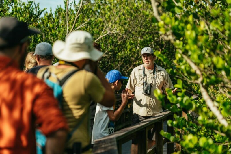 From Miami: Everglades Airboat Ride and Nature Walk - The Overall Experience