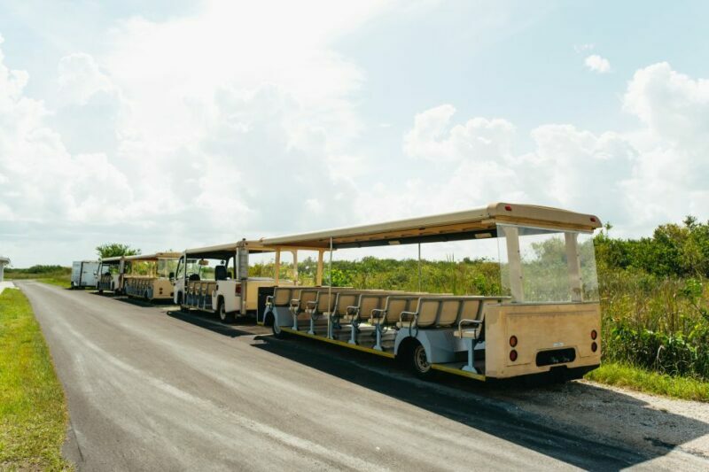 From Miami: Everglades Airboat Ride and Nature Walk - Price and Value