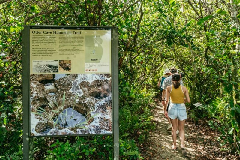 From Miami: Everglades Airboat Ride and Nature Walk - Practical Tips