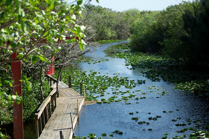 From Miami: Everglades Airboat, Wildlife Show, and Roundtrip Bus - Cancellation Policy