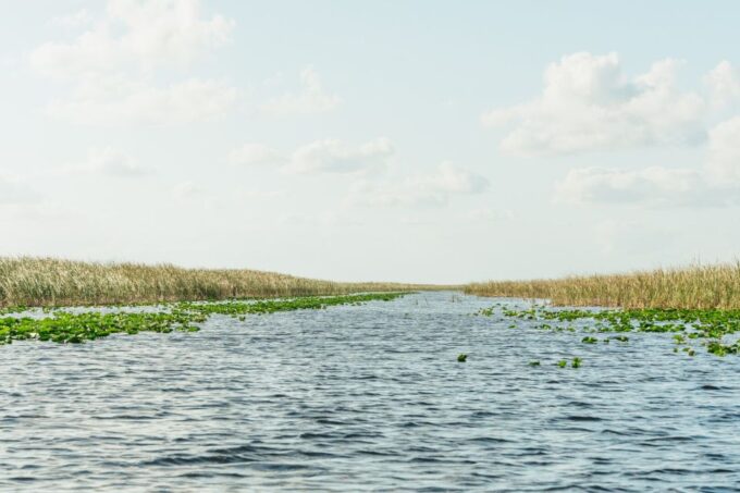 From Miami: Everglades Airboat, Wildlife Show & Bus Transfer - Customer Ratings and Feedback