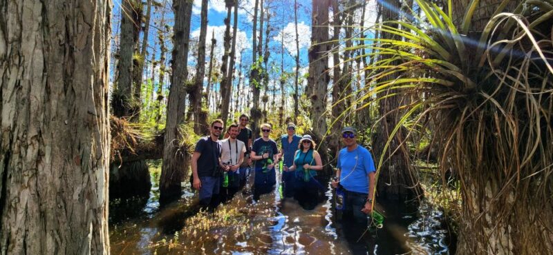 From Miami: Everglades Tour W/ Wet Walk, Boat Trips, & Lunch - Itinerary Highlights