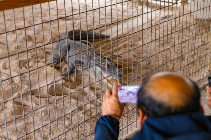 From Miami: Everglades Wildlife Show, Airboat & Bus Transfer - Booking and Cancellation Policy
