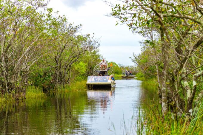 From Miami: Everglades Wildlife Show, Airboat & Bus Transfer - Frequently Asked Questions