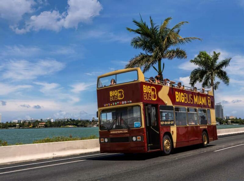 From Miami: Everglades, Wildlife Show, & Hop-on Hop-off Tour - Who Will Love This Tour?