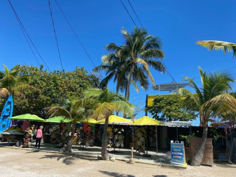 From Miami: Key Largo & Islamorada Private Open-Top Bus Tour - Itinerary and Highlights
