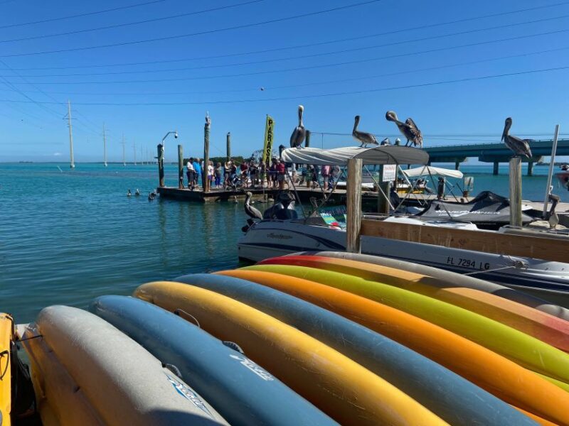 From Miami: Key Largo & Islamorada Private Open-Top Bus Tour - Cancellation Policy