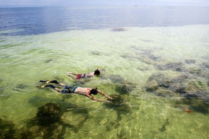 From Miami: Key West Day Tour by Motor Coach Bus - Activities and Attractions