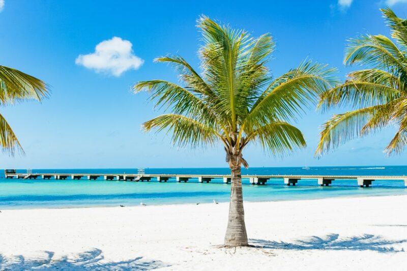 From Miami: Key West Day Trip - Featured Activities