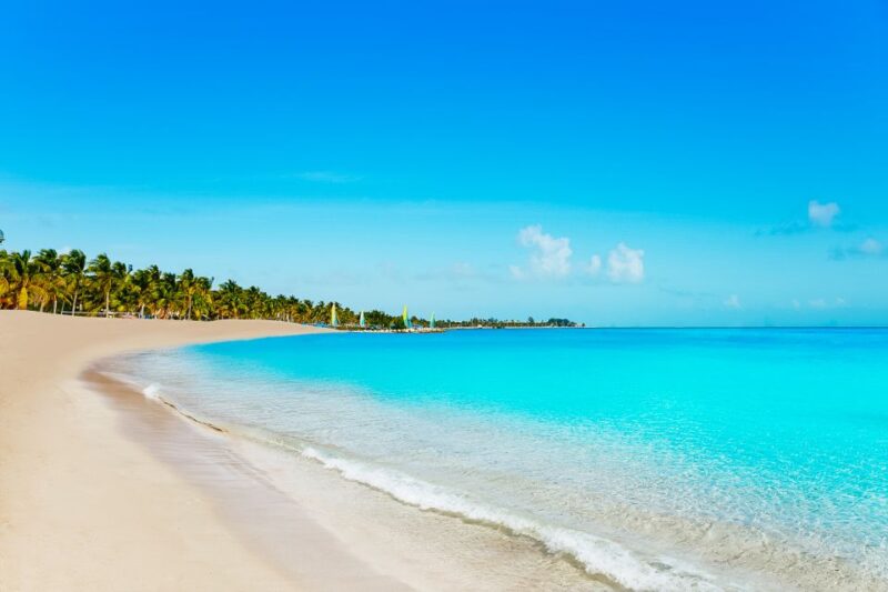 From Miami: Key West Day Trip - Catamaran Cruise