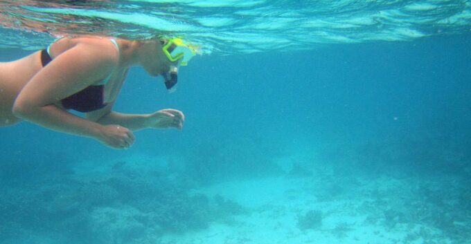 From Miami: Key West Day Trip - Important Considerations