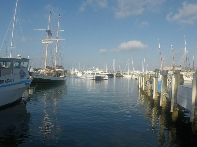 From Miami: Key West Day Trip with Pickup at Selected Hotels - An In-Depth Look at the Experience