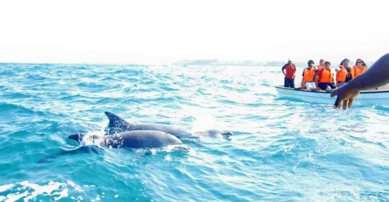 From Miami: Key West Tour With Choice of Water Activities - Water Activity Options