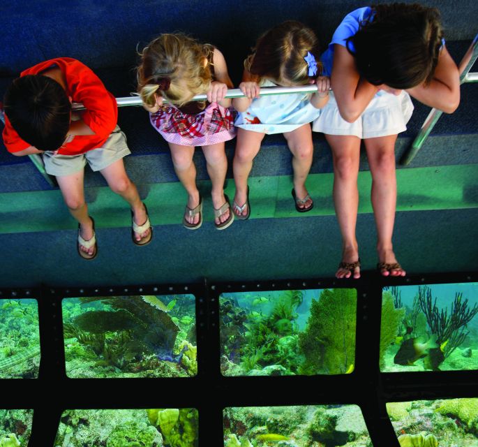 From Miami: Key West Tour With Choice of Water Activities - Participant Information