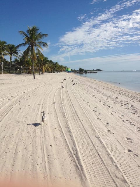 From Miami: Small Group Key West 1-Day Tour - Booking and Cancellation