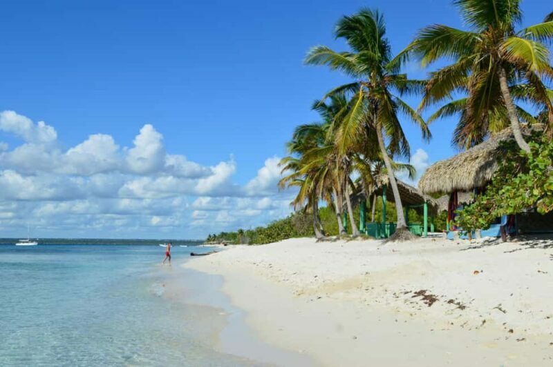 From miches: Isla Catalina Snorkeling Tour with Lunch - Key Points