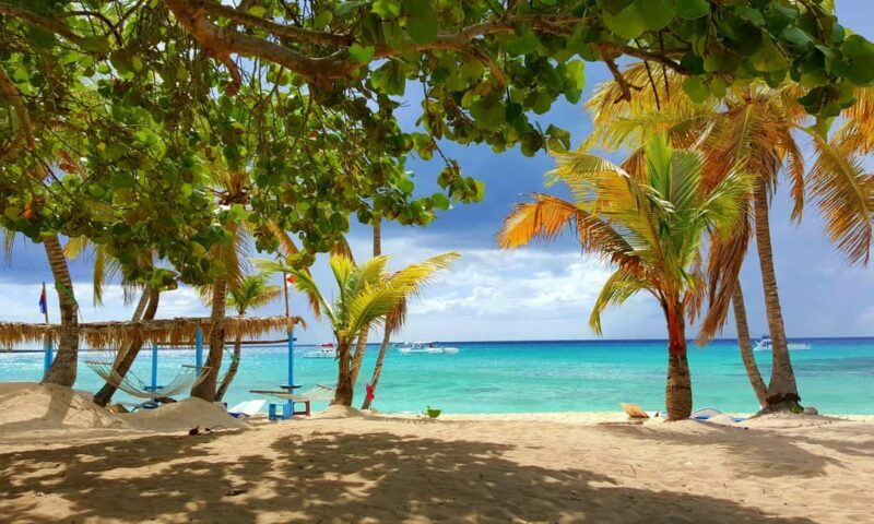From miches: Isla Catalina Snorkeling Tour with Lunch - Introduction: A Well-Designed Caribbean Day