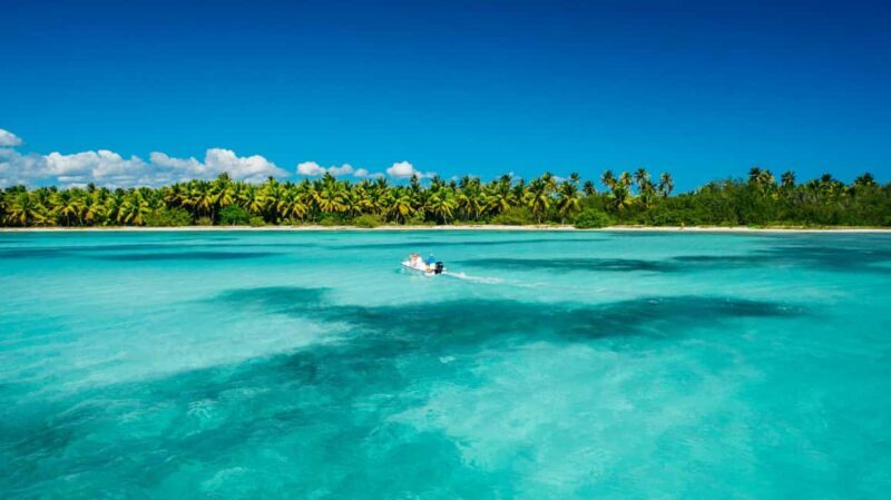From miches: Isla Catalina Snorkeling Tour with Lunch - The Practical Side: Transport, Timing, and Comfort
