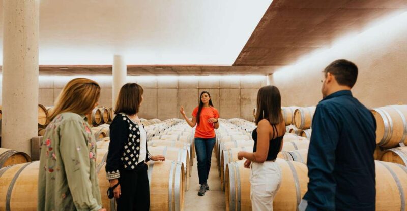 From Milan: Barolo Private Wine Tour With a Private Driver - Food and Dietary Considerations