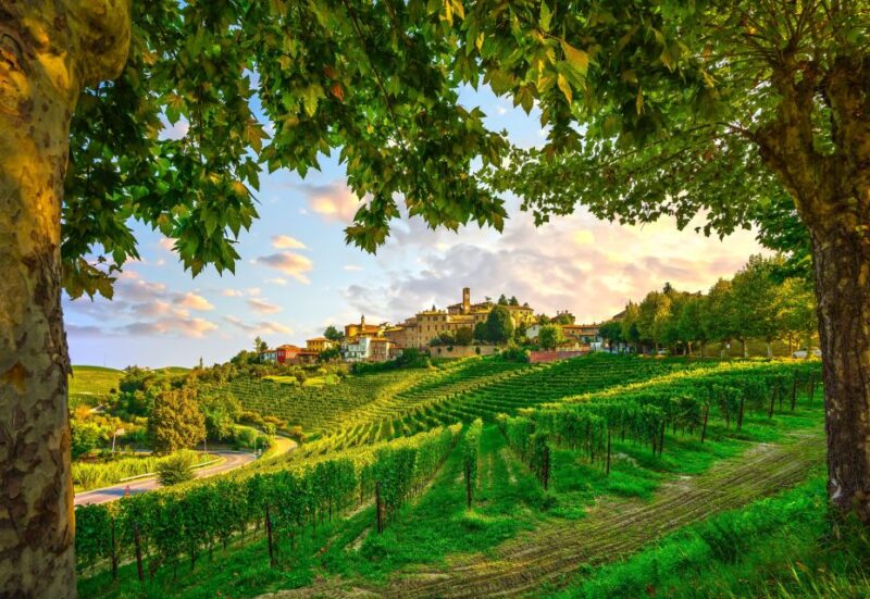From Milan: Barolo Wine Tasting, Alba Tour and Castle Visit - Itinerary Details