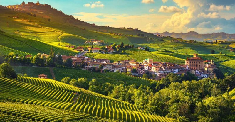 From Milan: Barolo Wine Tasting, Alba Tour and Castle Visit - Experience Highlights