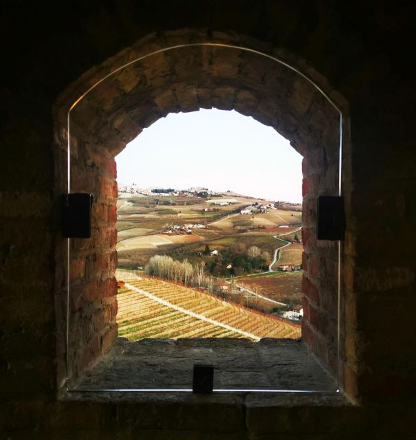 From Milan: Barolo Wine Tasting, Alba Tour and Castle Visit - Tasting Barolo Wines in Langhe