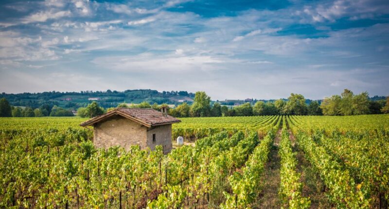 From Milan: Full Day in Franciacorta. 2 Wineries & Lunch - Key Points