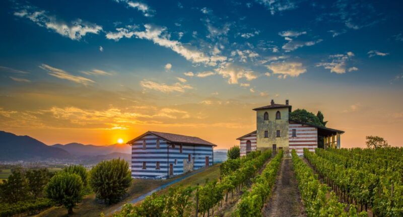 From Milan: Full Day in Franciacorta. 2 Wineries & Lunch - Highlights of the Tour