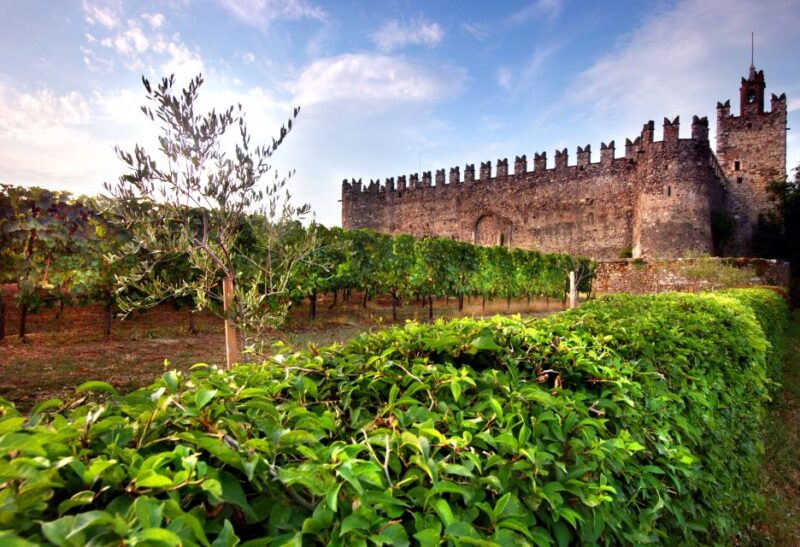 From Milan: Full Day in Franciacorta. 2 Wineries & Lunch - Transportation and Amenities