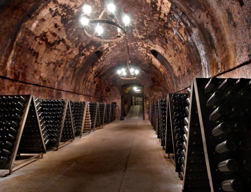 From Milan: Full Day in Franciacorta. 2 Wineries & Lunch - Participant Information and Reviews